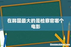 在韩国最大的是检察官哪个电影