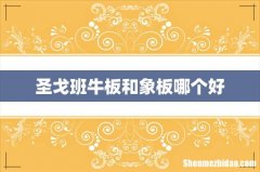 圣戈班牛板和象板哪个好
