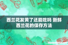西兰花发黄了还能吃吗 新鲜西兰花的保存方法