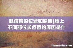 脸上不同部位长痘痘的原因是什么- 起痘痘的位置和原因