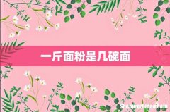 一斤面粉是几碗面