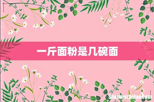 一斤面粉是几碗面