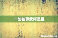 一剑独尊武柯是谁