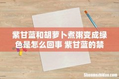 紫甘蓝和胡萝卜煮粥变成绿色是怎么回事 紫甘蓝的禁忌
