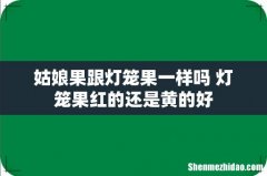 姑娘果跟灯笼果一样吗 灯笼果红的还是黄的好