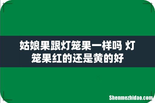 姑娘果跟灯笼果一样吗 灯笼果红的还是黄的好