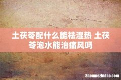 土茯苓配什么能祛湿热 土茯苓泡水能治痛风吗