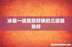 冰箱一级能效好换的三级能效好