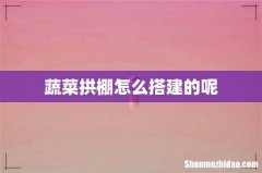 蔬菜拱棚怎么搭建的呢