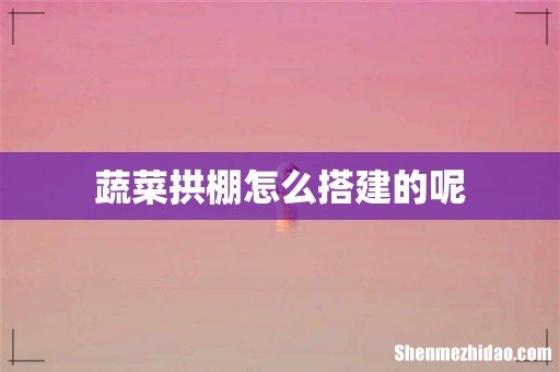 蔬菜拱棚怎么搭建的呢