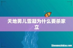 天地男儿雪凝为什么要杀家立