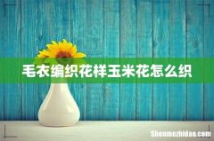 毛衣编织花样玉米花怎么织