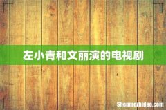 左小青和文丽演的电视剧