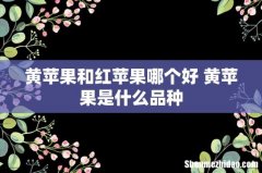 黄苹果和红苹果哪个好 黄苹果是什么品种