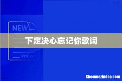下定决心忘记你歌词
