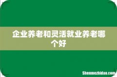 企业养老和灵活就业养老哪个好