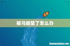 被马蜂蛰了怎么办
