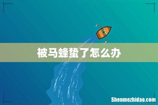 被马蜂蛰了怎么办
