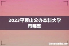 2023平顶山公办本科大学有哪些