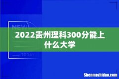 2022贵州理科300分能上什么大学