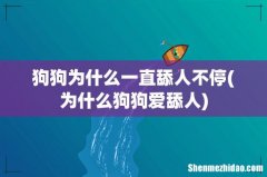 为什么狗狗爱舔人 狗狗为什么一直舔人不停