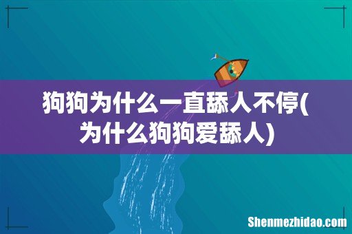 为什么狗狗爱舔人 狗狗为什么一直舔人不停