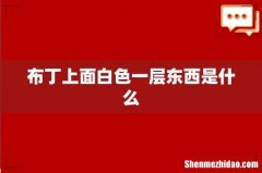 布丁上面白色一层东西是什么
