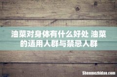 油菜对身体有什么好处 油菜的适用人群与禁忌人群