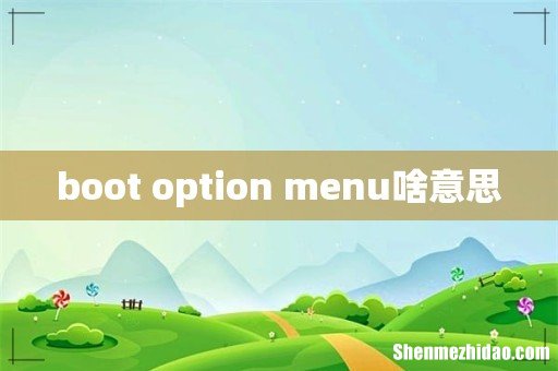 boot option menu啥意思