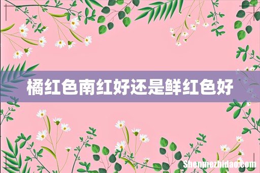 橘红色南红好还是鲜红色好