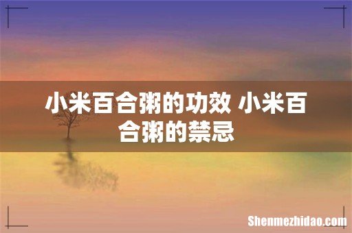 小米百合粥的功效 小米百合粥的禁忌