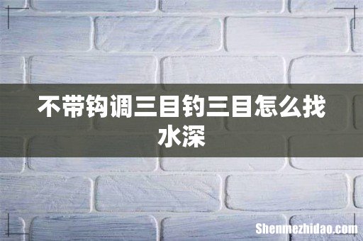 不带钩调三目钓三目怎么找水深