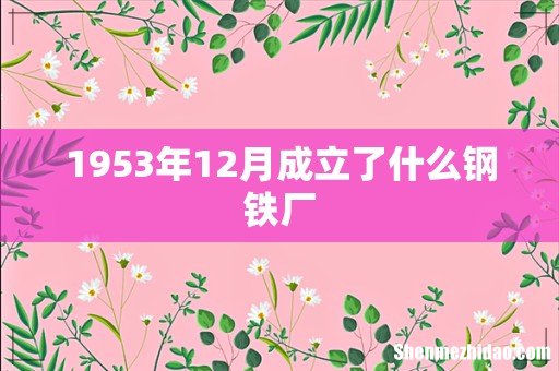 1953年12月成立了什么钢铁厂