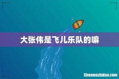 大张伟是飞儿乐队的嘛