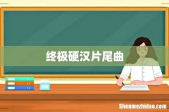 终极硬汉片尾曲