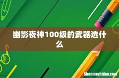 幽影夜神100级的武器选什么