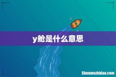 y舱是什么意思