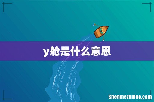 y舱是什么意思