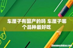 车厘子有国产的吗 车厘子哪个品种最好吃
