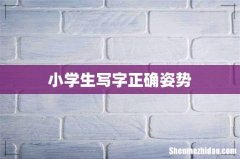 小学生写字正确姿势