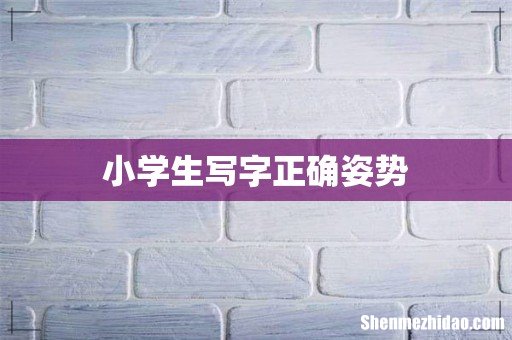 小学生写字正确姿势