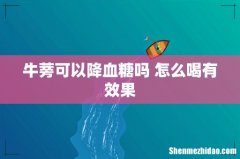 牛蒡可以降血糖吗 怎么喝有效果