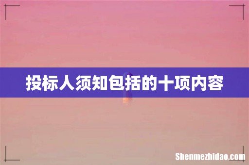 投标人须知包括的十项内容
