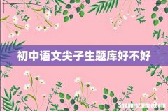 初中语文尖子生题库好不好