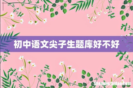 初中语文尖子生题库好不好