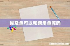 埃及鱼可以和塘角鱼养吗