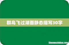 群鸟飞过湖面静态描写30字