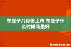 车厘子几月份上市 车厘子什么时候吃最好
