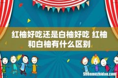 红柚好吃还是白柚好吃 红柚和白柚有什么区别