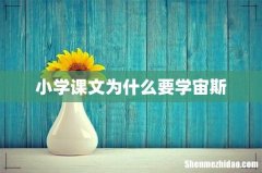 小学课文为什么要学宙斯